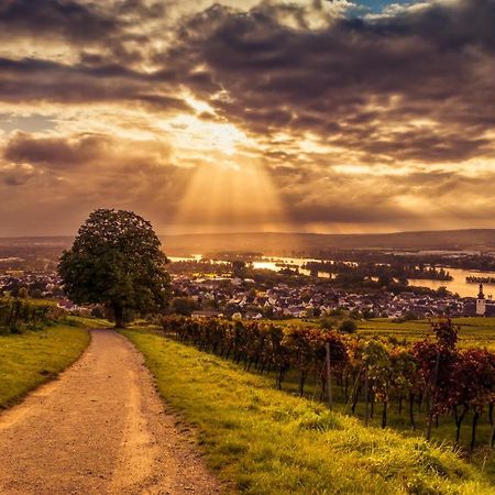 Ferienwohnung Reblaus Ruedesheim am Rhein Luaran gambar