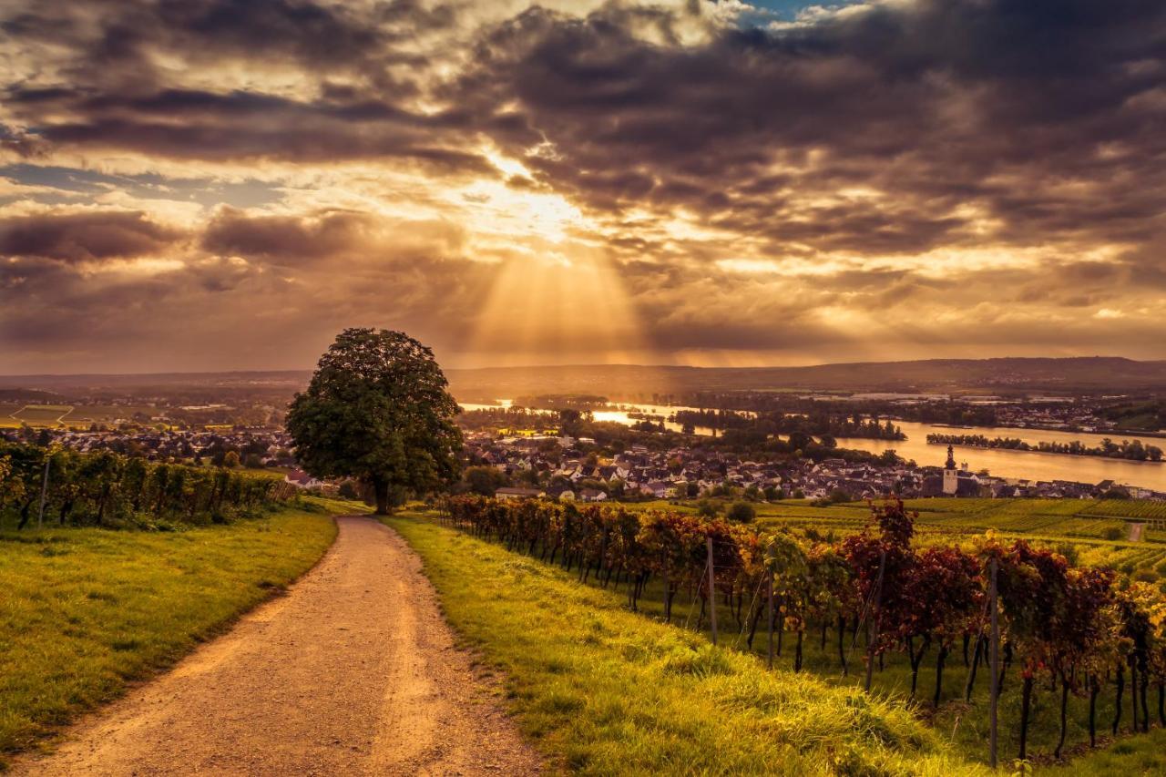 Ferienwohnung Reblaus Ruedesheim am Rhein Luaran gambar